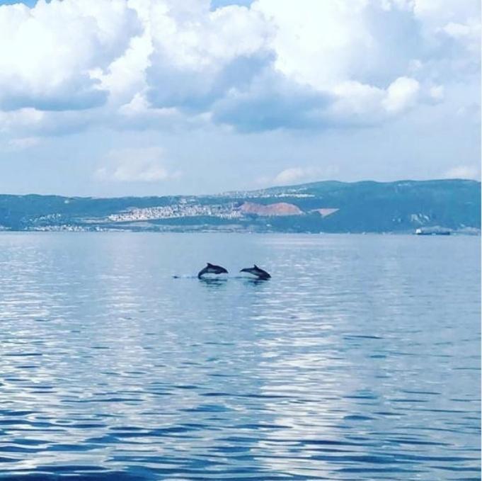 Blue Pier Hotel Kocaeli Buitenkant foto